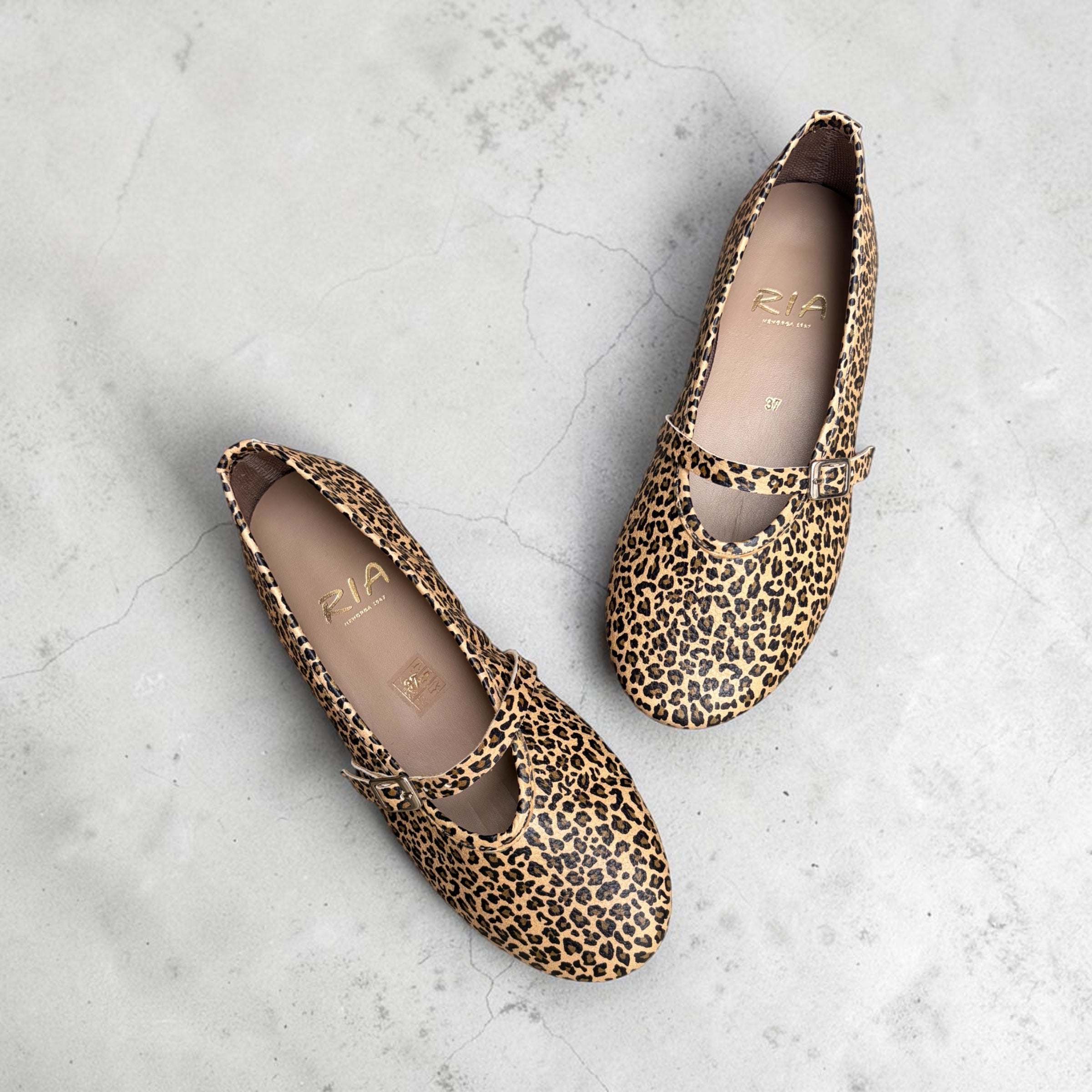 Mary Jane Mónaco | Mini Leopardo
