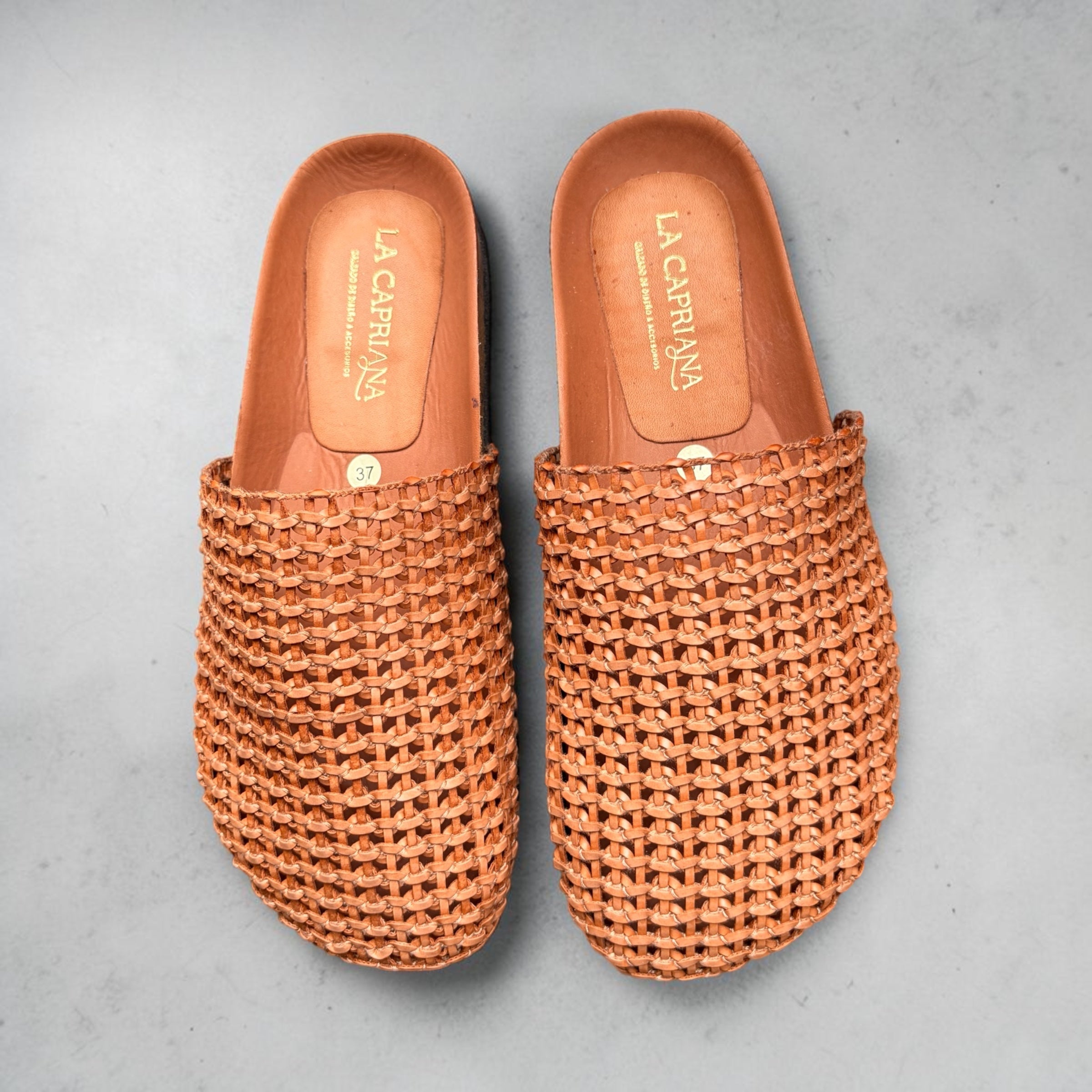 Mule Palma | Camel