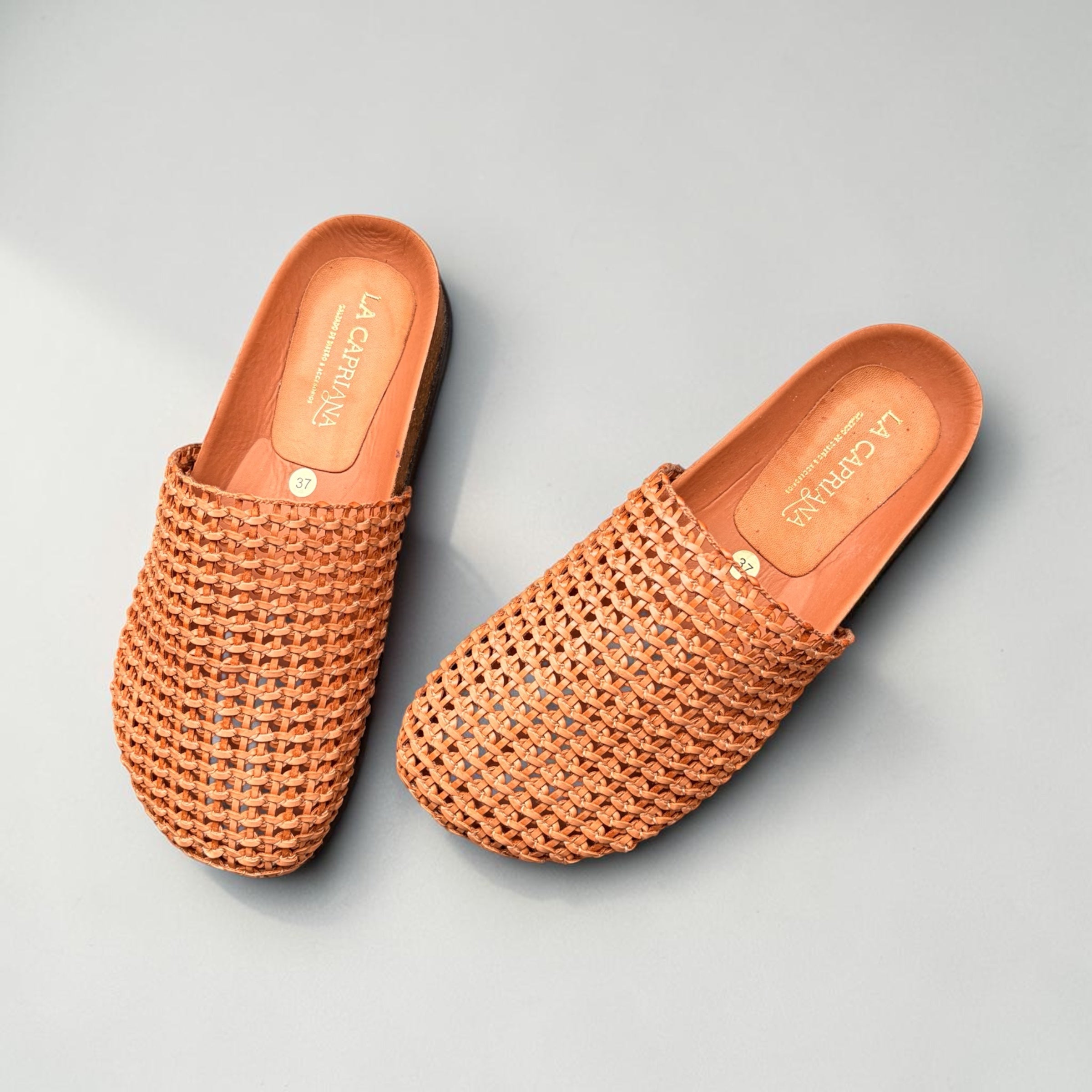 Mule Palma | Camel