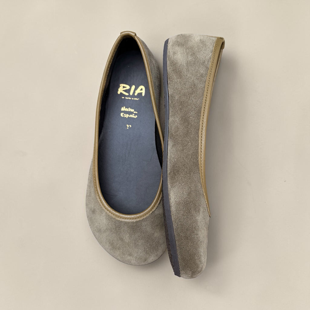 Ballerina Toledo | Olivo